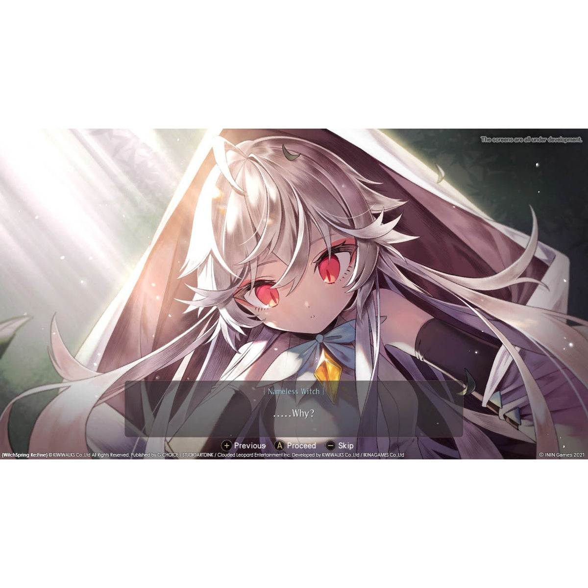 WitchSpring3 Re:Fine – The Story of Eirudy for Nintendo Switch (Disc)