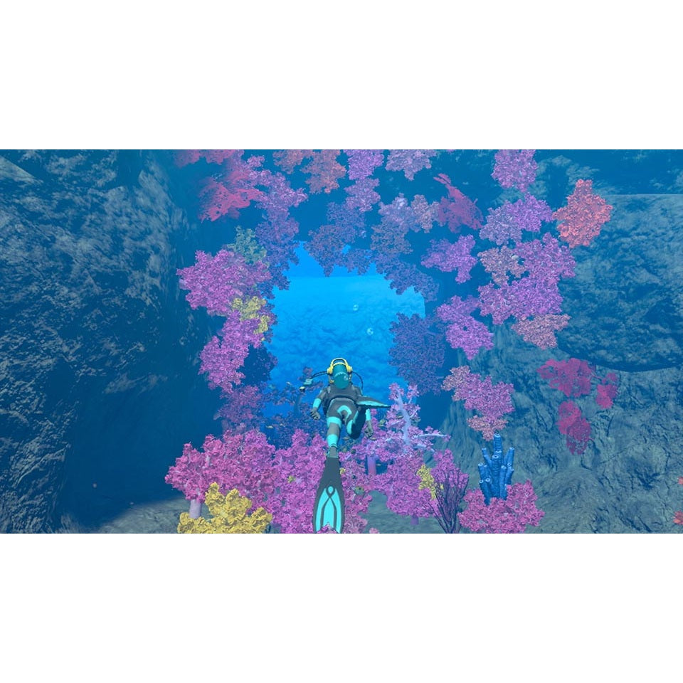 Endless Ocean Luminous for Nintendo Switch (Disc)