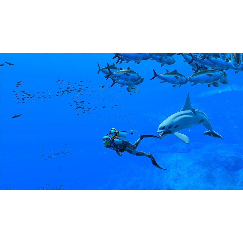 Endless Ocean Luminous for Nintendo Switch (Disc)