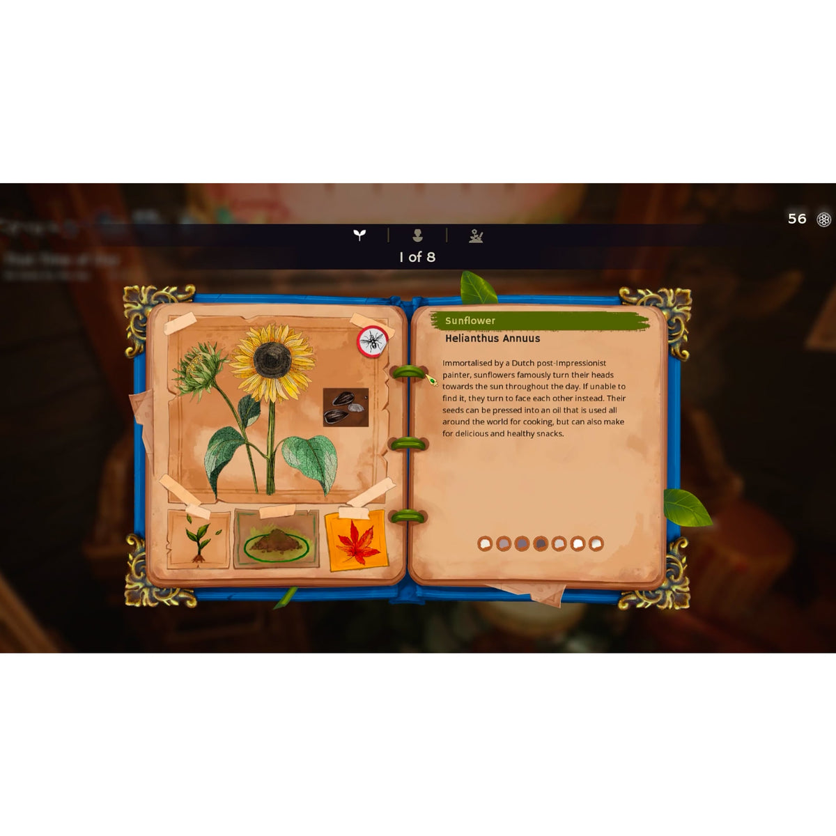 Garden Life: A Cozy Simulator for Xbox Series X (Disc)