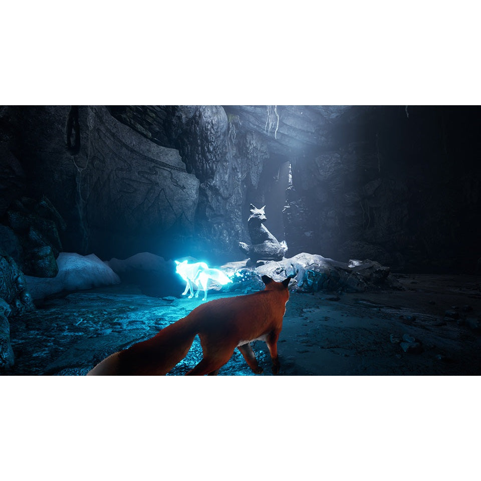 Spirit of the North for Nintendo Switch (Code in Box)