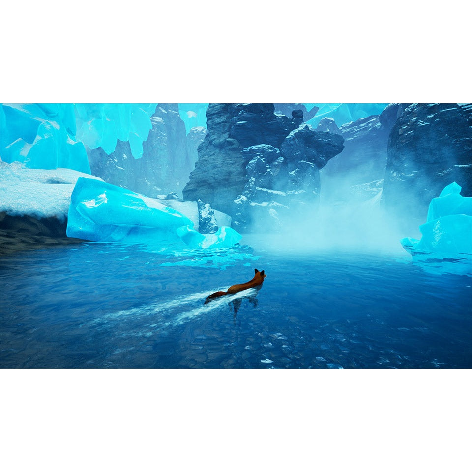Spirit of the North for Nintendo Switch (Code in Box)
