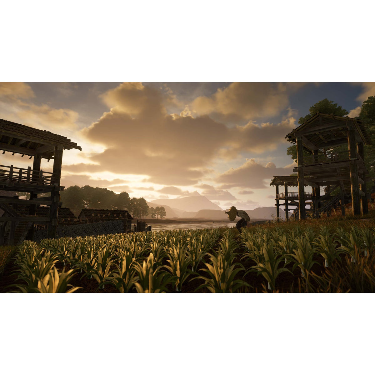 Sengoku Dynasty Ultimate Edition for Xbox Series X (Disc)