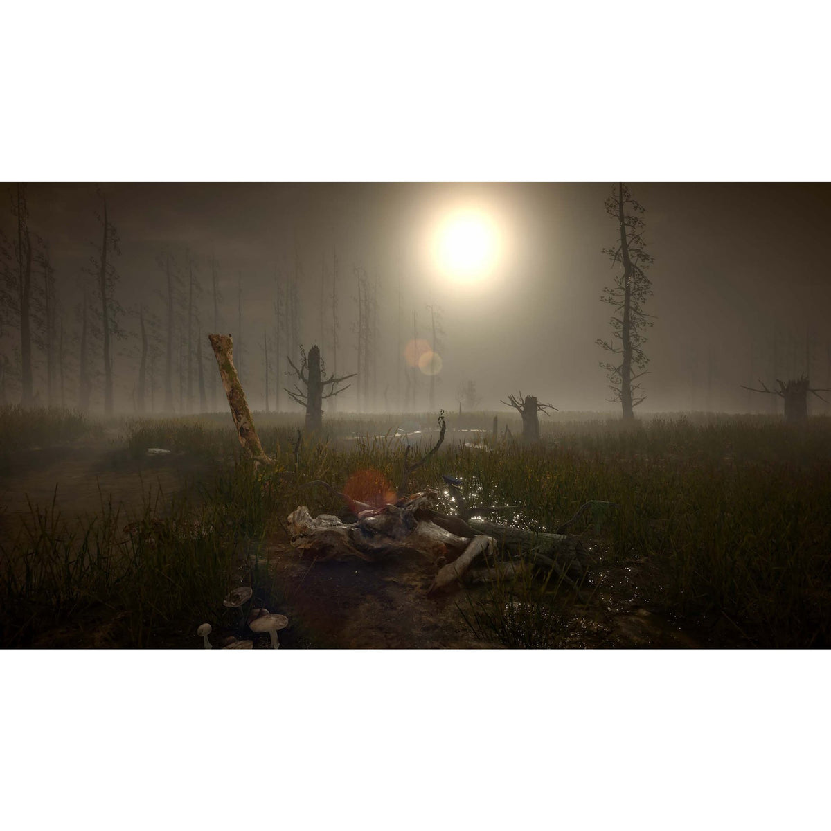 Feardemic Horror Bundle for Nintendo Switch (Disc)