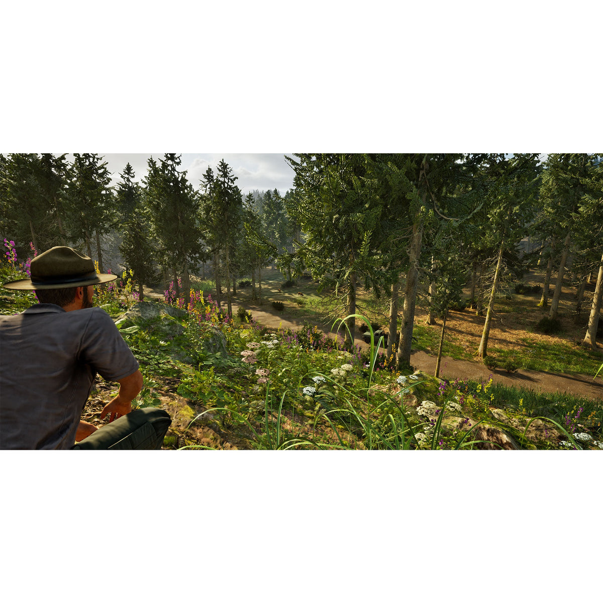 Park Ranger Simulator for PlayStation 5 (Disc)