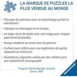 Ravensburger Dungeons & Dragons Quest Accepted 1000 Piece Jigsaw Puzzle