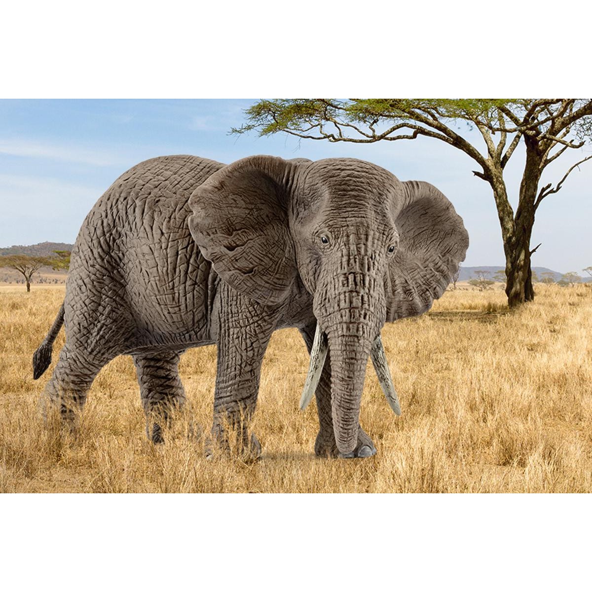Schleich Wild Life African Elephant Female Figure 14761