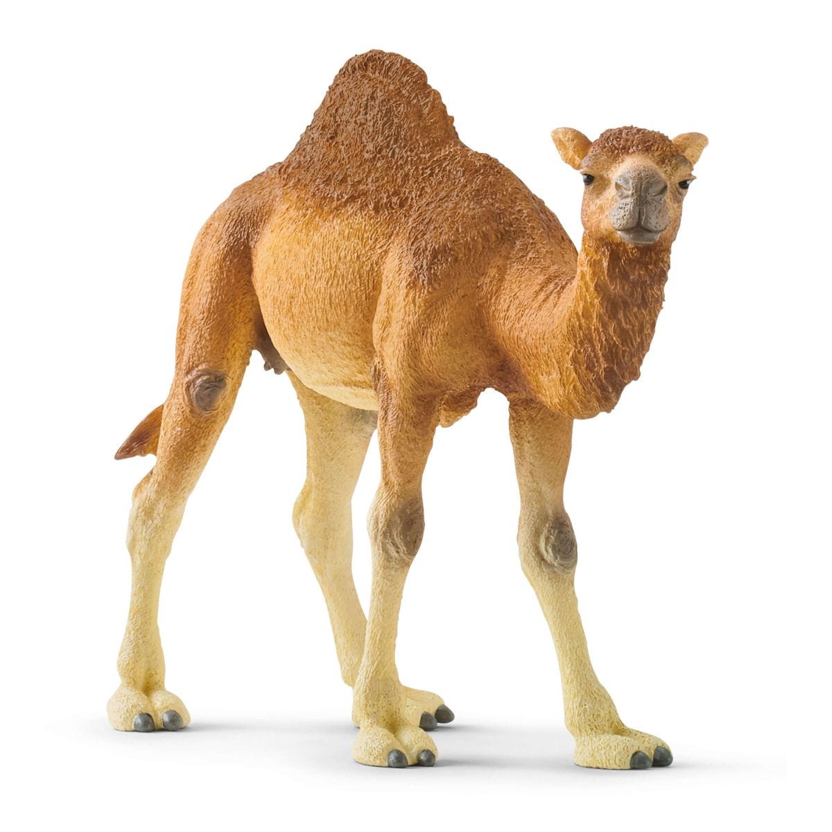 Schleich WILD LIFE Dromedary Animal Figure 14832