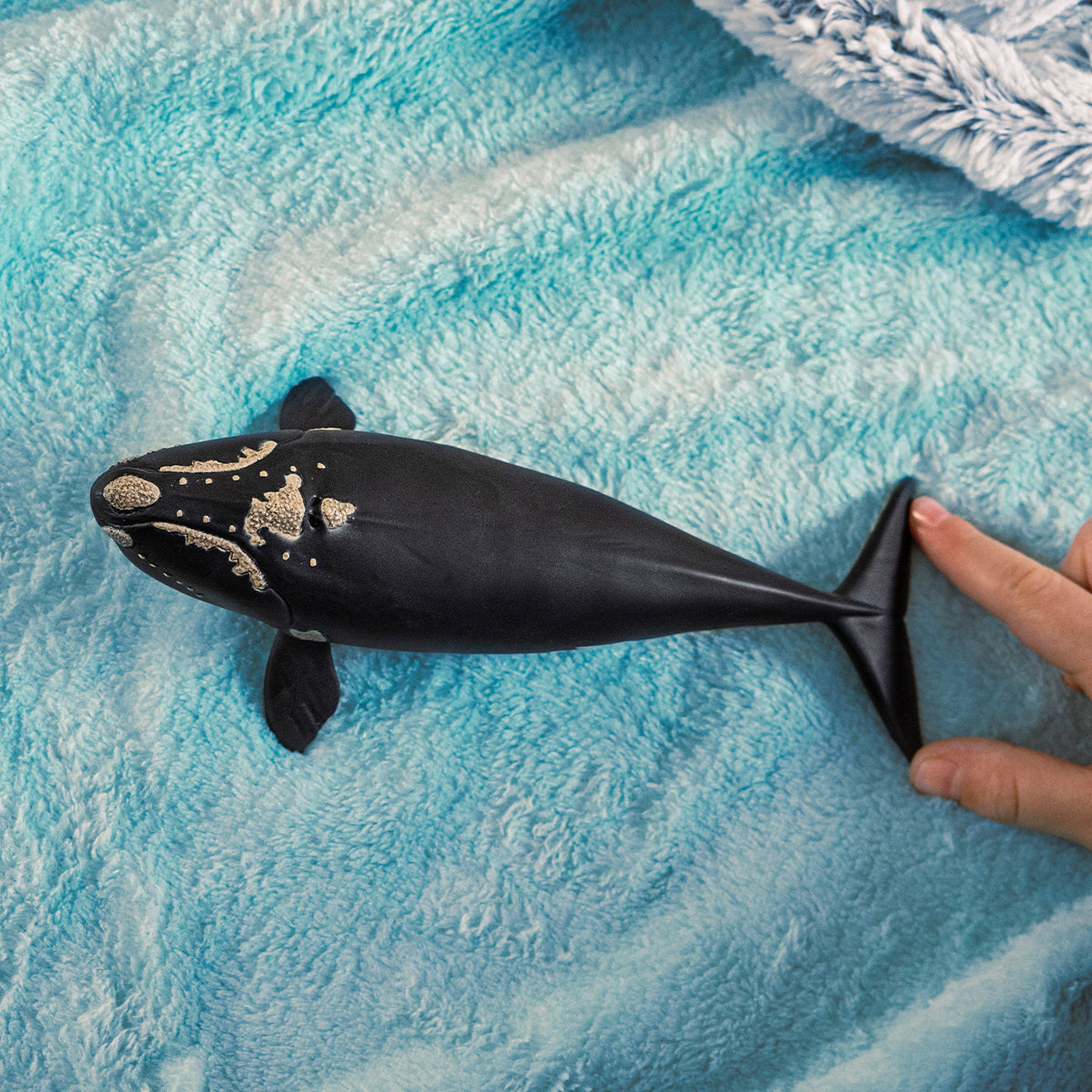 Schleich WILD LIFE North Atlantic Right Whale Figure 14878