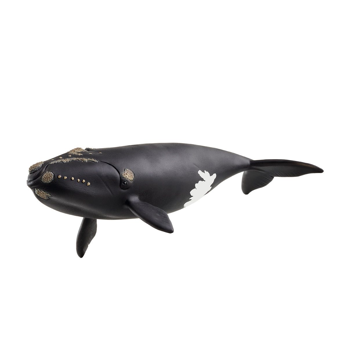 Schleich WILD LIFE North Atlantic Right Whale Figure 14878