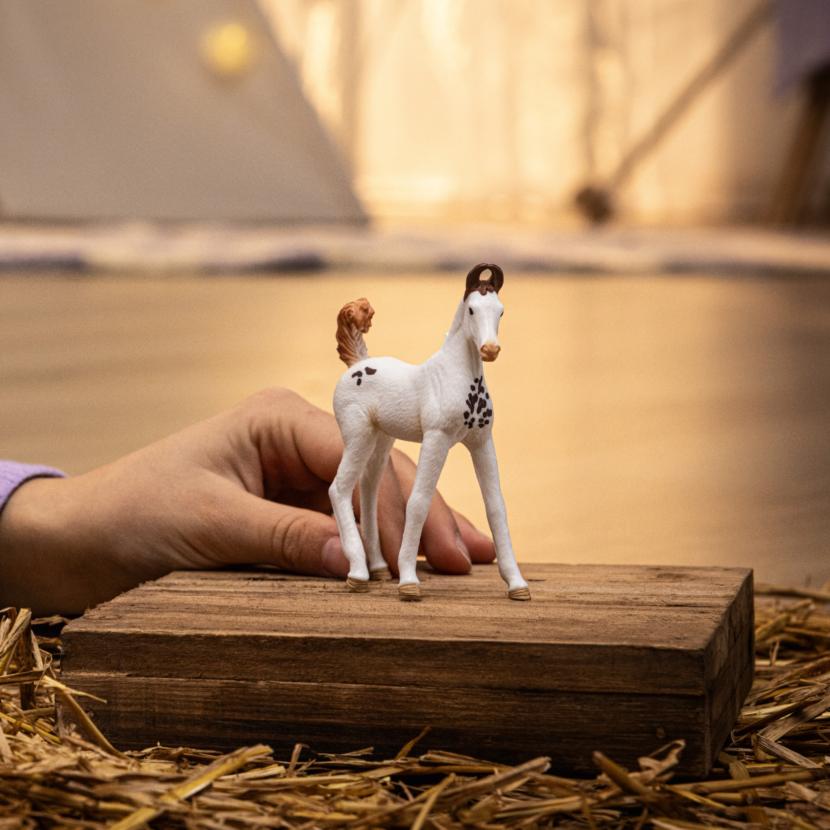 Schleich HORSE CLUB Marwari Foal Figure 14896