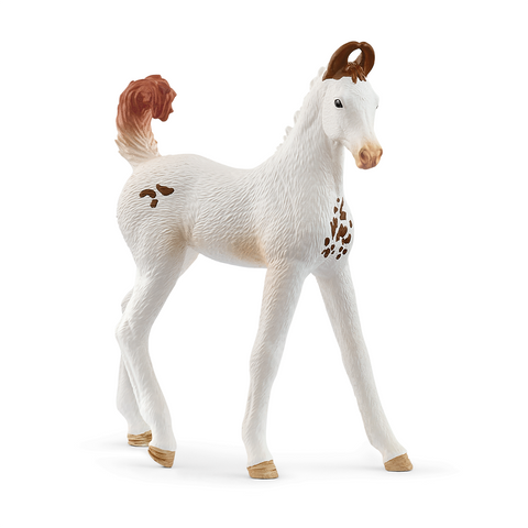 Schleich HORSE CLUB Marwari Foal Figure 14896