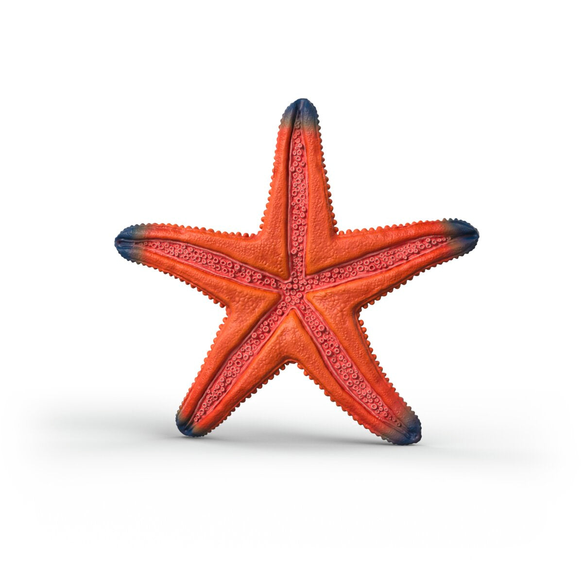Schleich WILD LIFE Colour-Changing Starfish Figure 14902