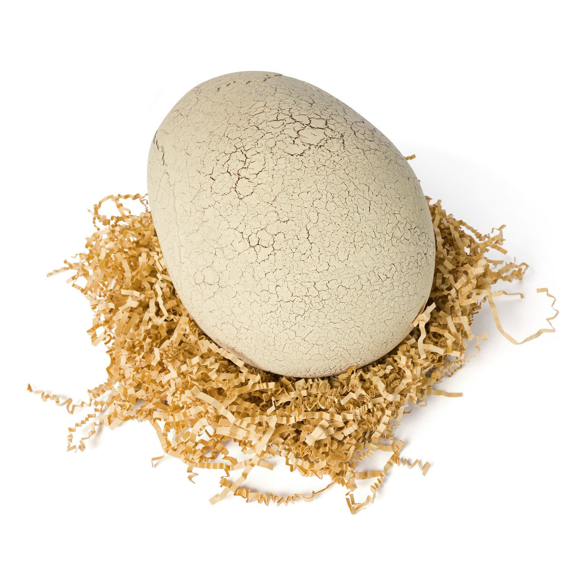 Jurassic World Primal Hatch Interactive Hatching T-Rex Dinosaur Egg