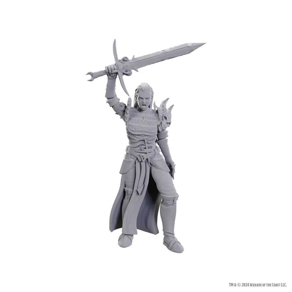 D&D Nolzur's Marvelous Unpainted Miniatures: Blackguard