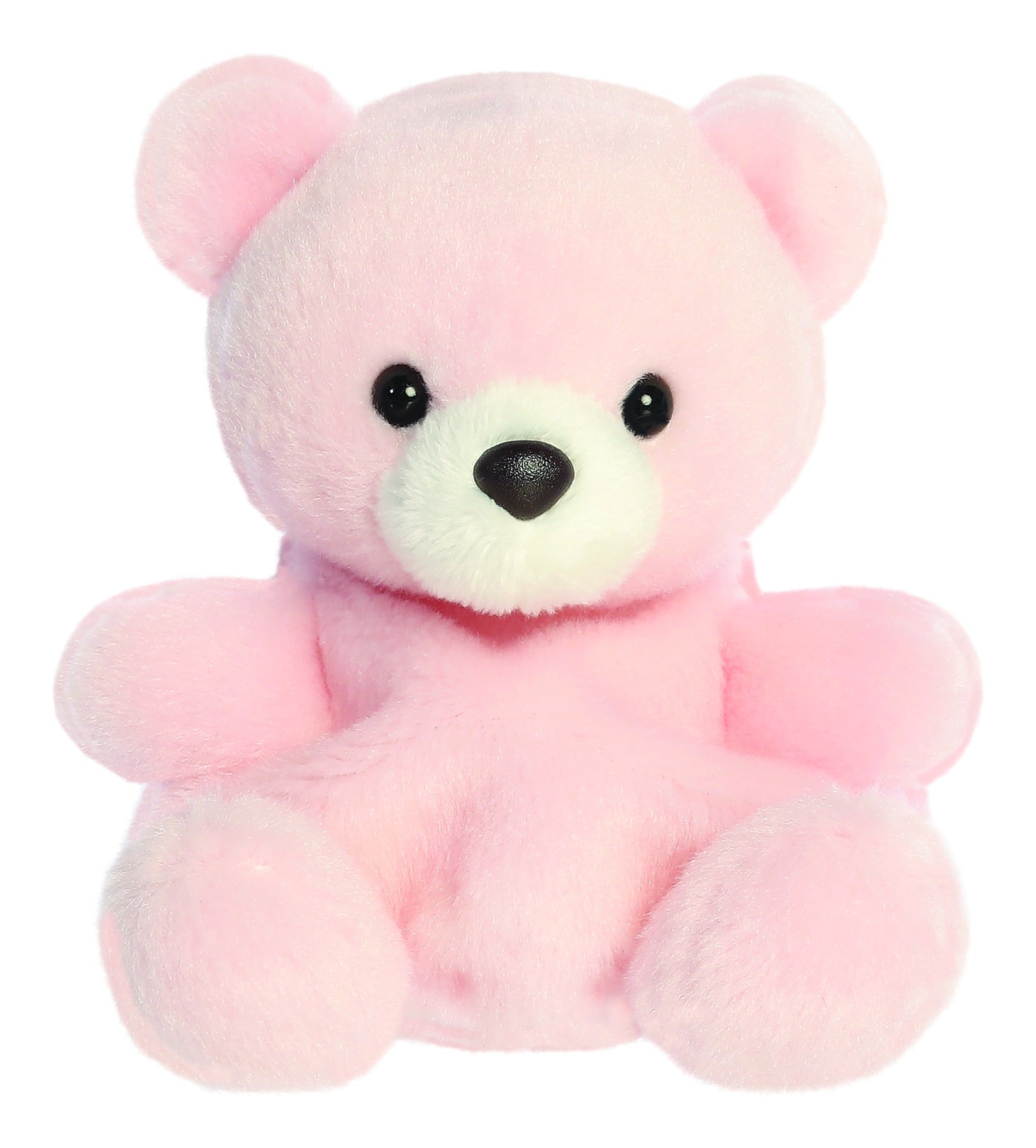 Palm Pals Bailey Baby Bear Plush Toy 5in