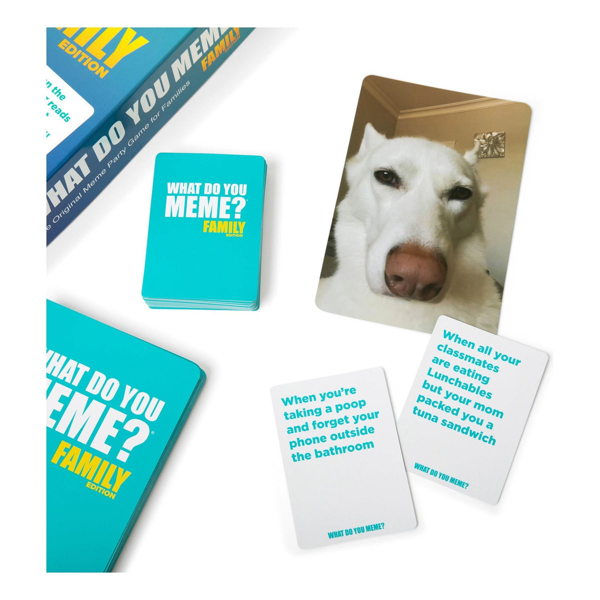 What Do You Meme? Family Edition Family Party Card Game