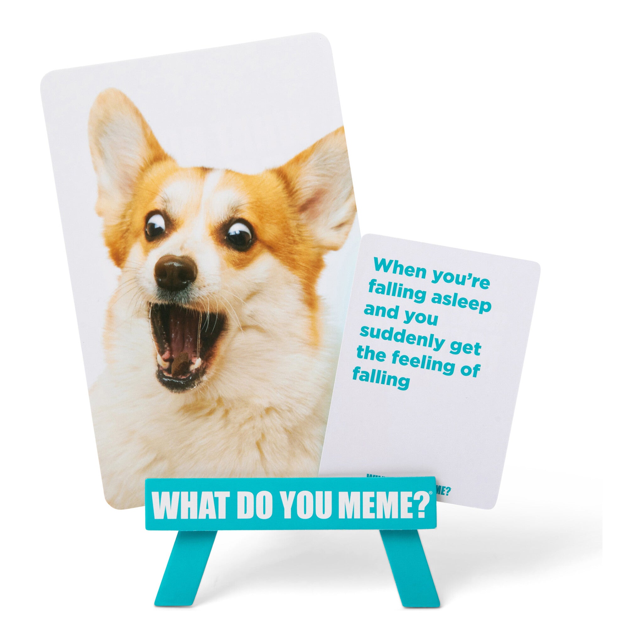 What Do You Meme? Family Travel Edition Card Game