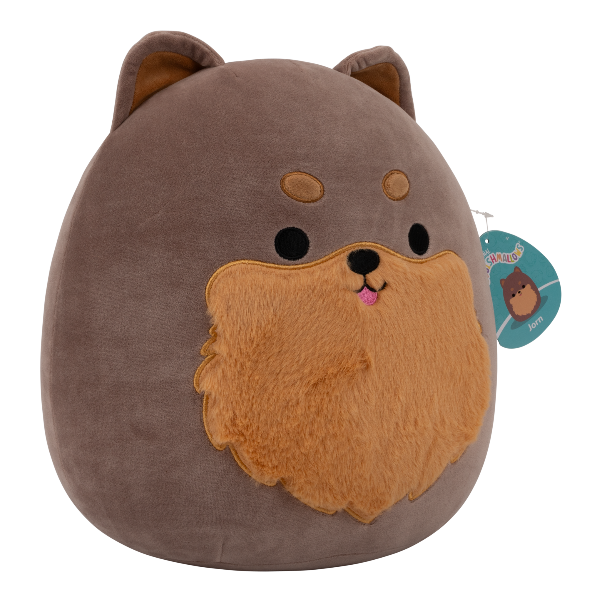 Squishmallows Jorn Pomeranian 12in Plush