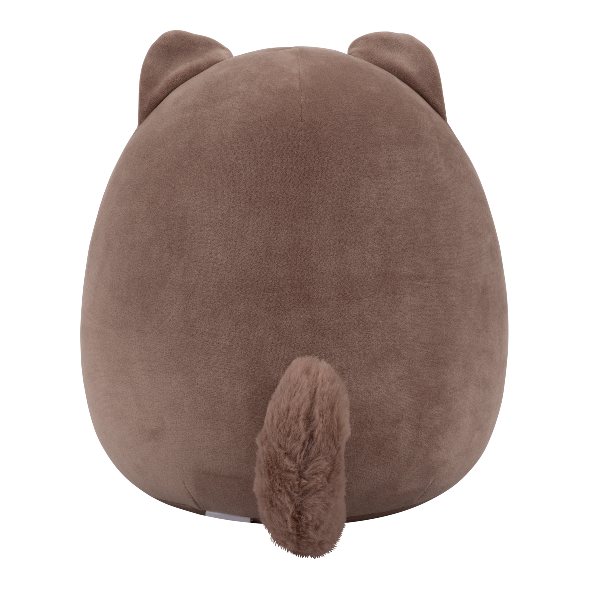 Squishmallows Jorn Pomeranian 12in Plush