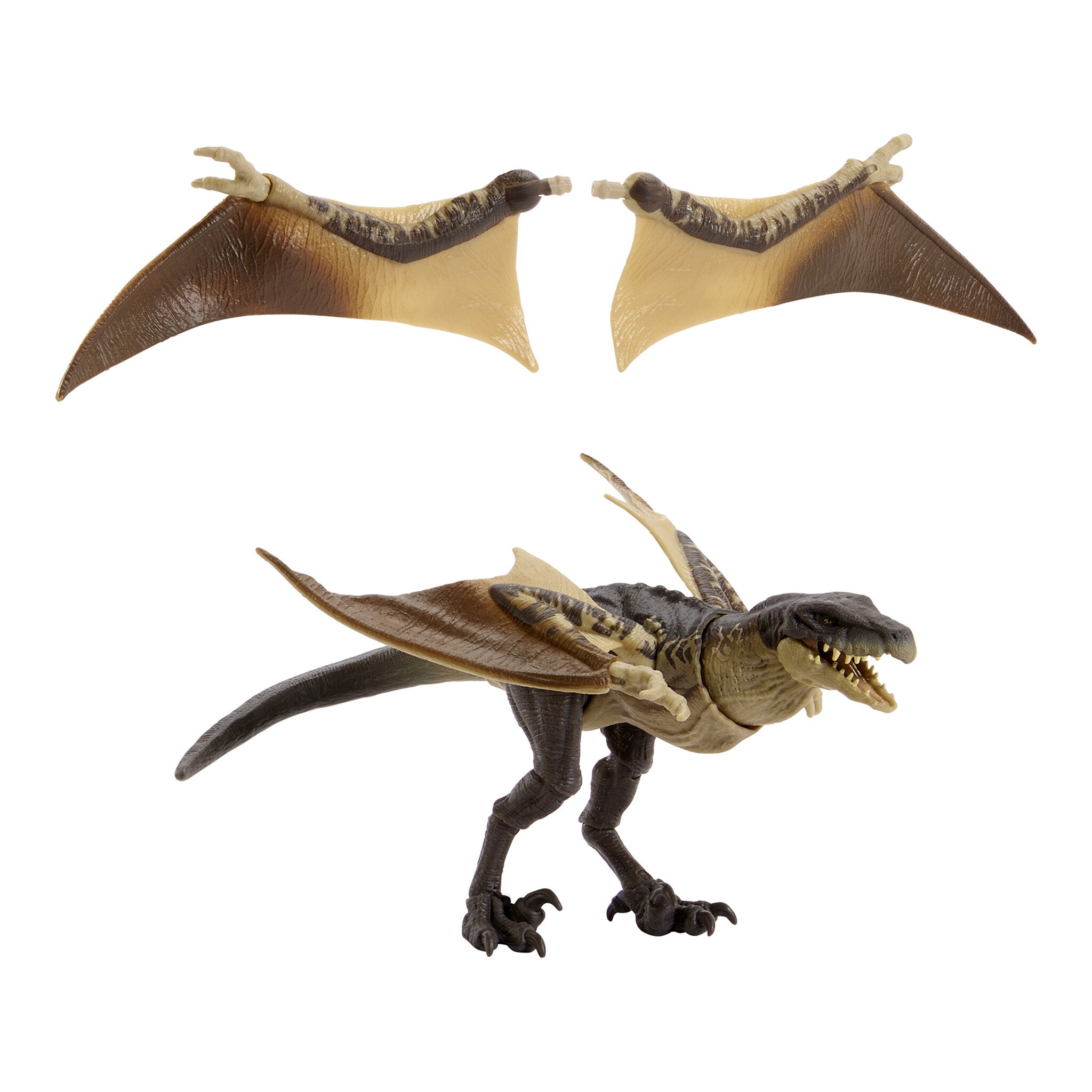 Mattel Jurassic World Hammond Collection Mutadon Dinosaur Figure