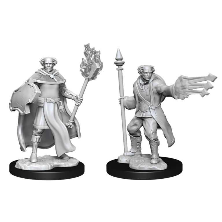 D&D Nolzur's Marvelous Miniatures Multiclass Cleric + Wizard Male (W13)