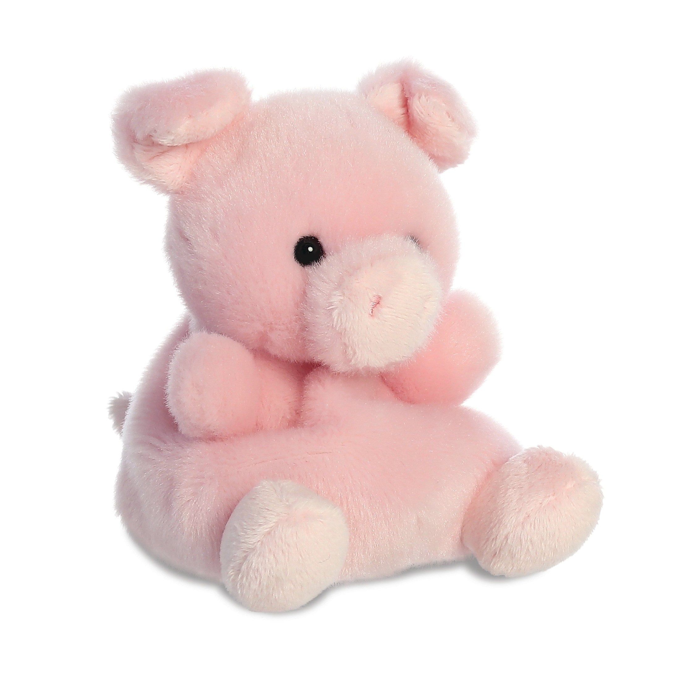 Aurora Palm Pals 5" Plush- Wizard Pig 5034566612426