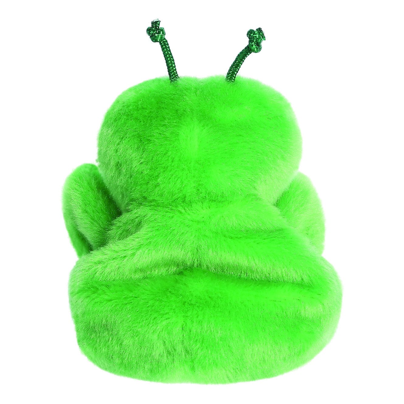 Palm Pals Kai Praying Mantis 5" 5034566339323