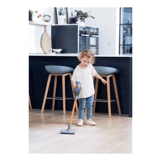 Casdon - Dyson Cord-Free 5011551000192