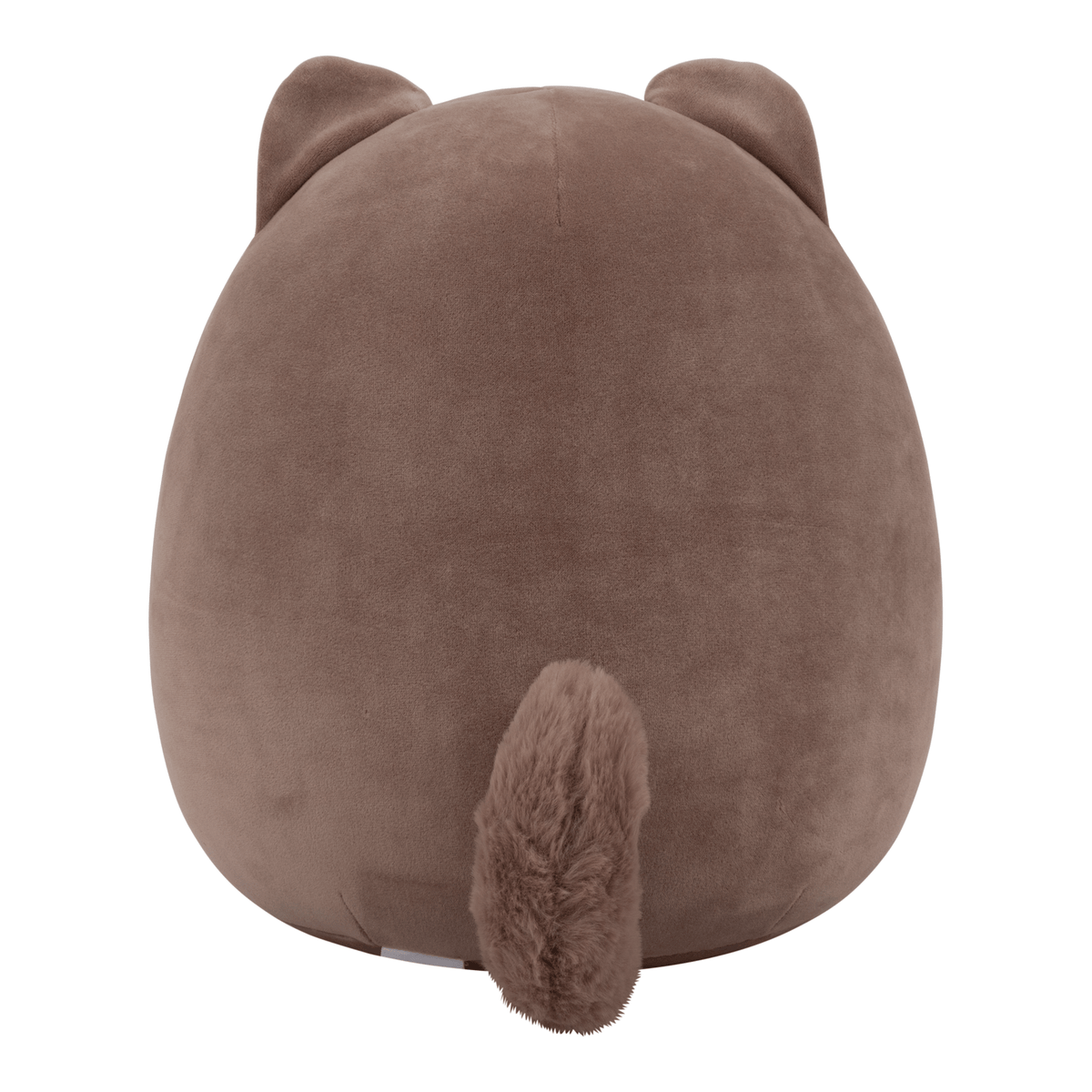 Squishmallows Jorn Pomeranian 12in Plush
