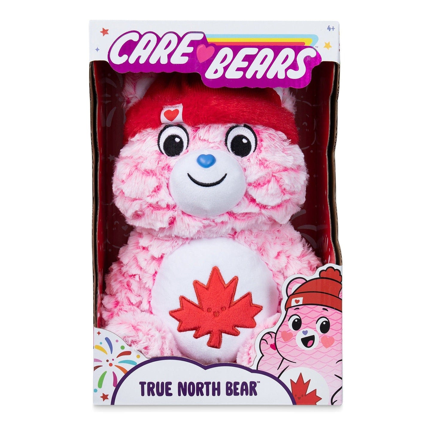 Care Bears 35cm Medium Plush True North Bear