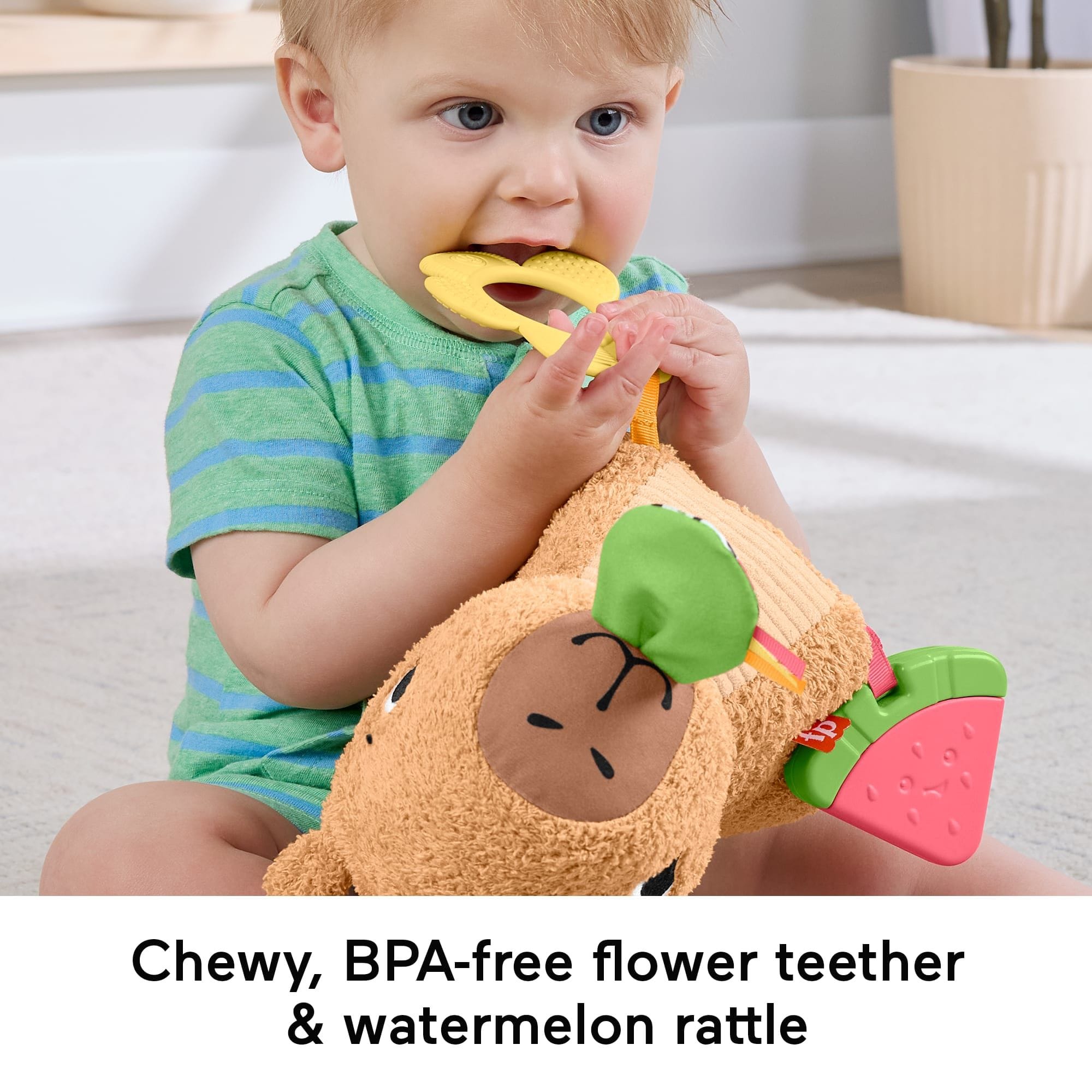 * Fisher Price Sensimals Snuggly Snacky Capy 194735254262