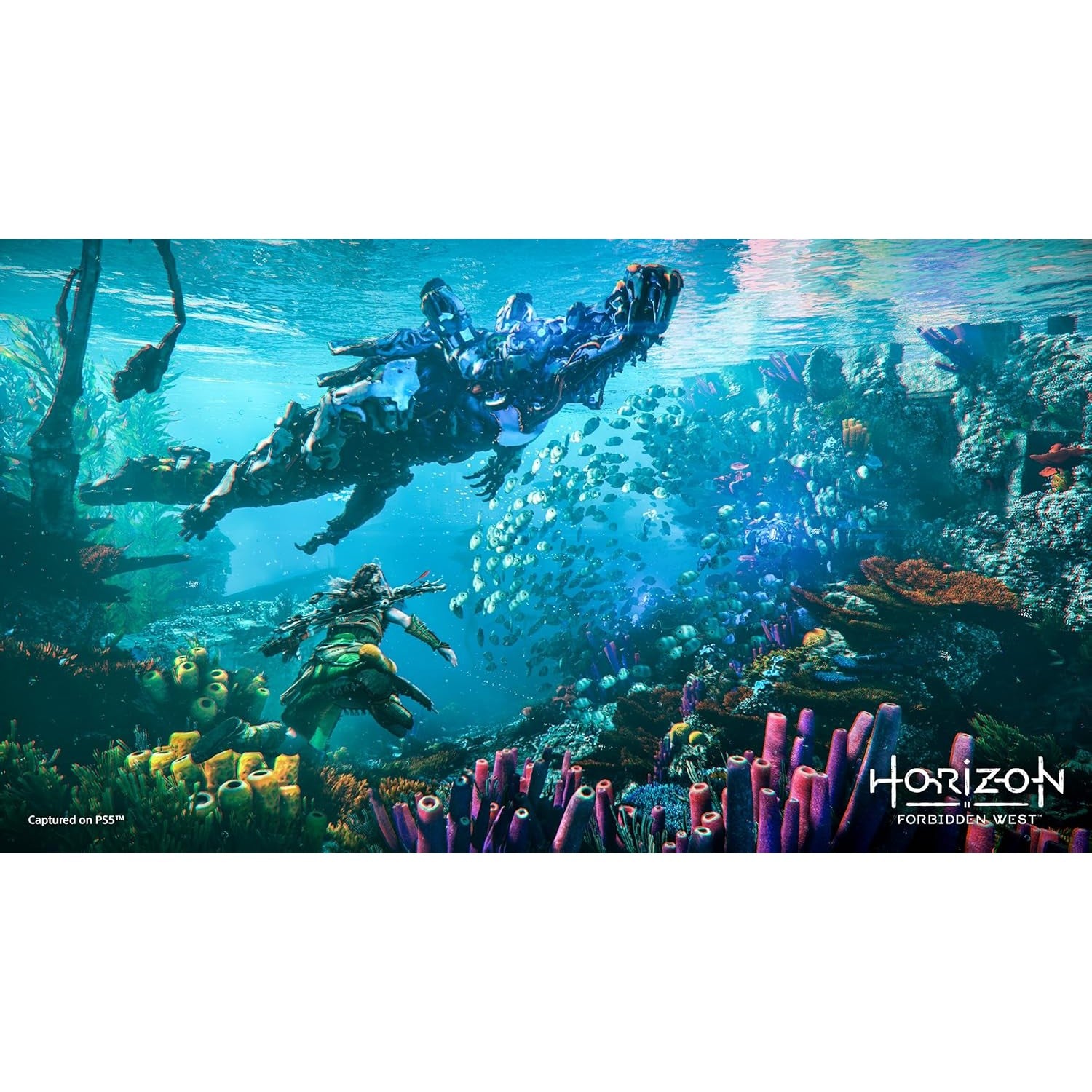 Horizon Forbidden West - Playstation 4 0711719718895