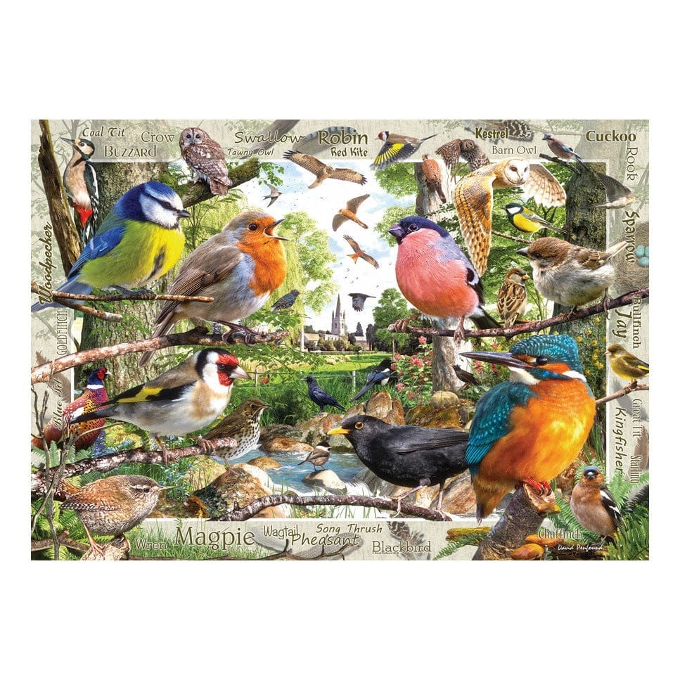 Our Feathered Friends 1000pc 4005555003281