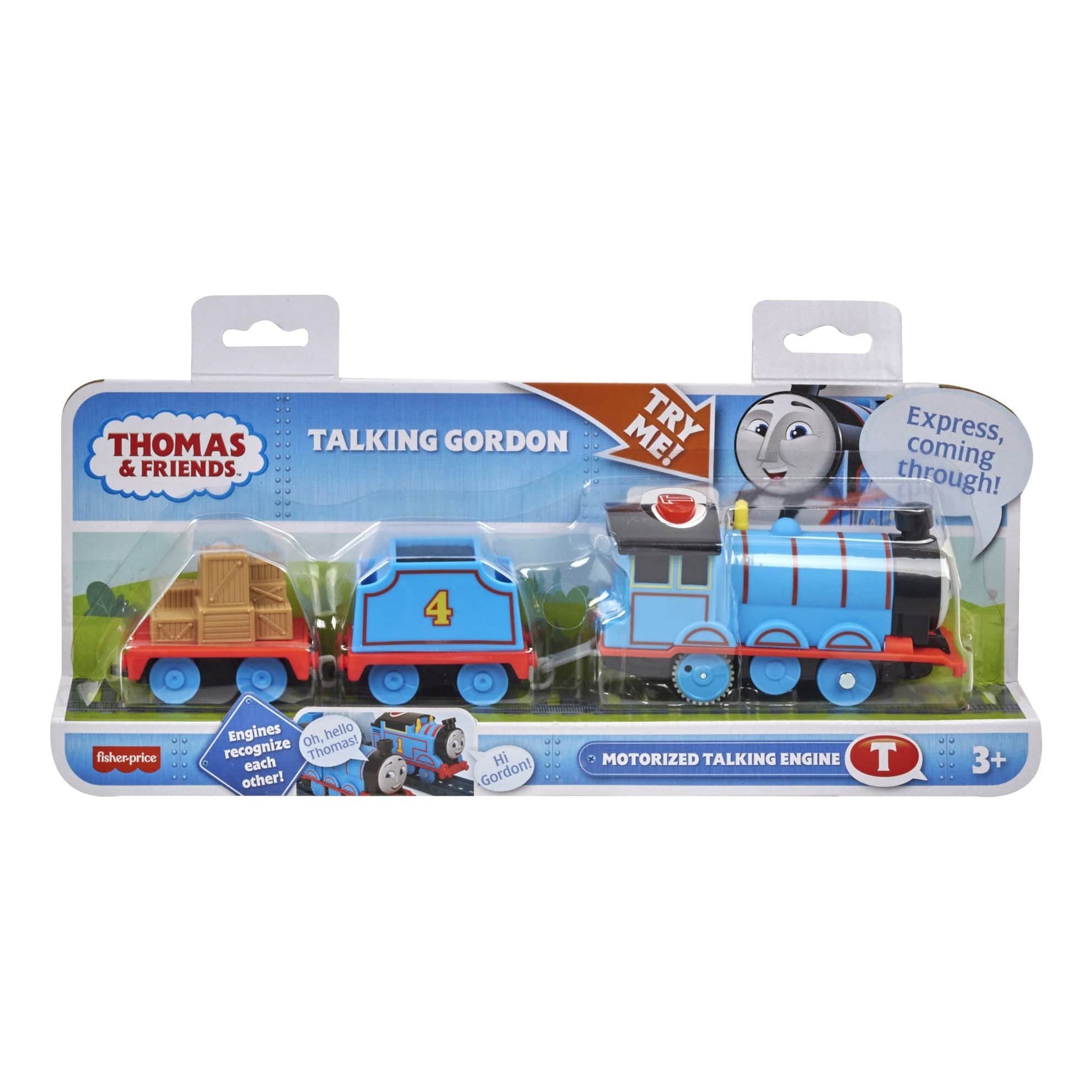 Thomas & Friends Motorised Talking Gordon 194735223817