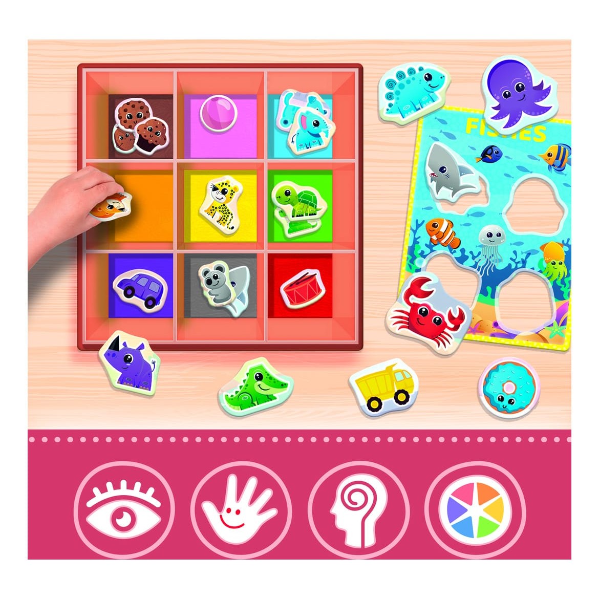 Lisciani Montessori Box Colours - Colourful Notice Board And Colour Sorting Game For Early Learning