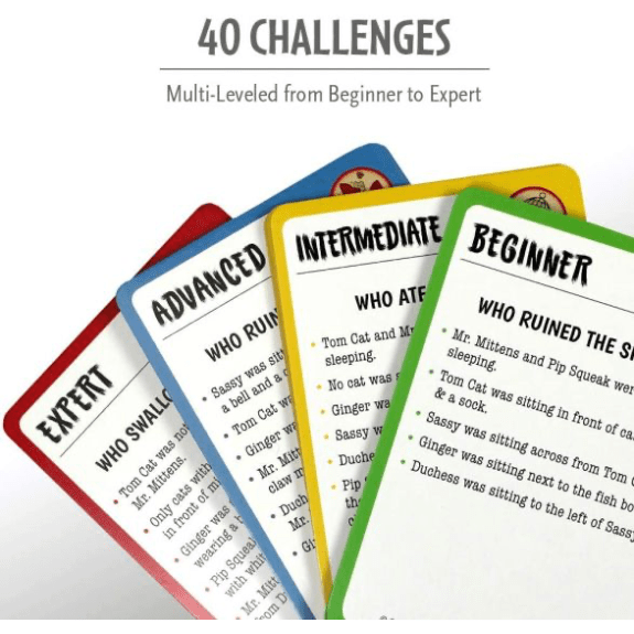 Cat Crimes: Who’s To Blame Logic Game 019275015503