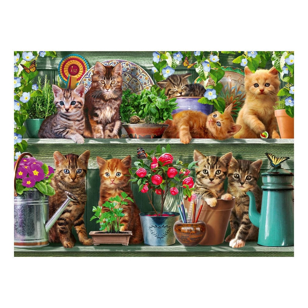 Ravensburger Cats on the Shelf 500 Piece Jigsaw Puzzle 4005555002055