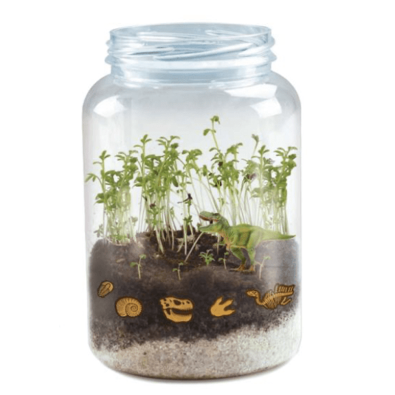 Science4You: Dinosaur Terrarium 5600983627642
