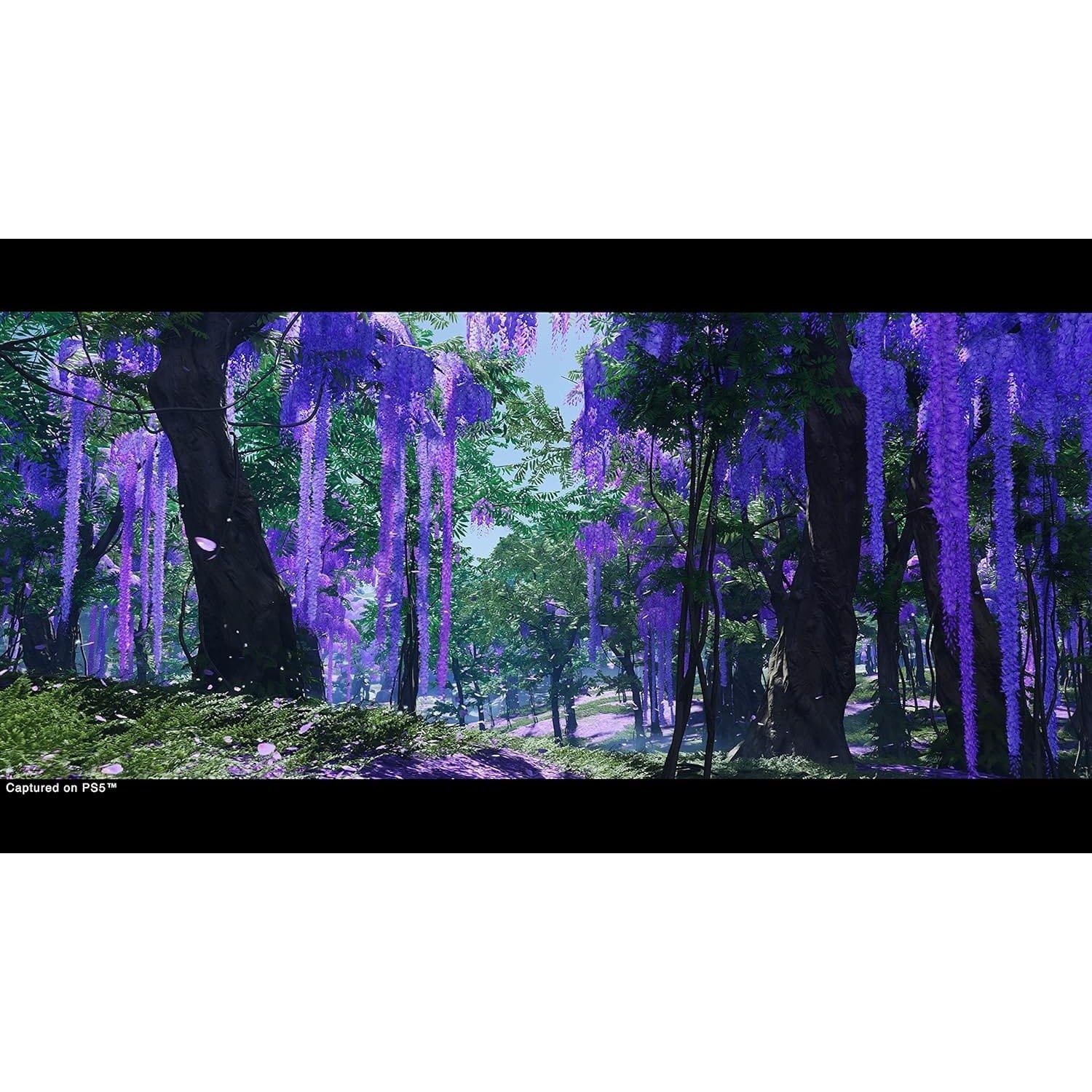 Ghost Of Tsushima Directors - Playstation 5 711719714095