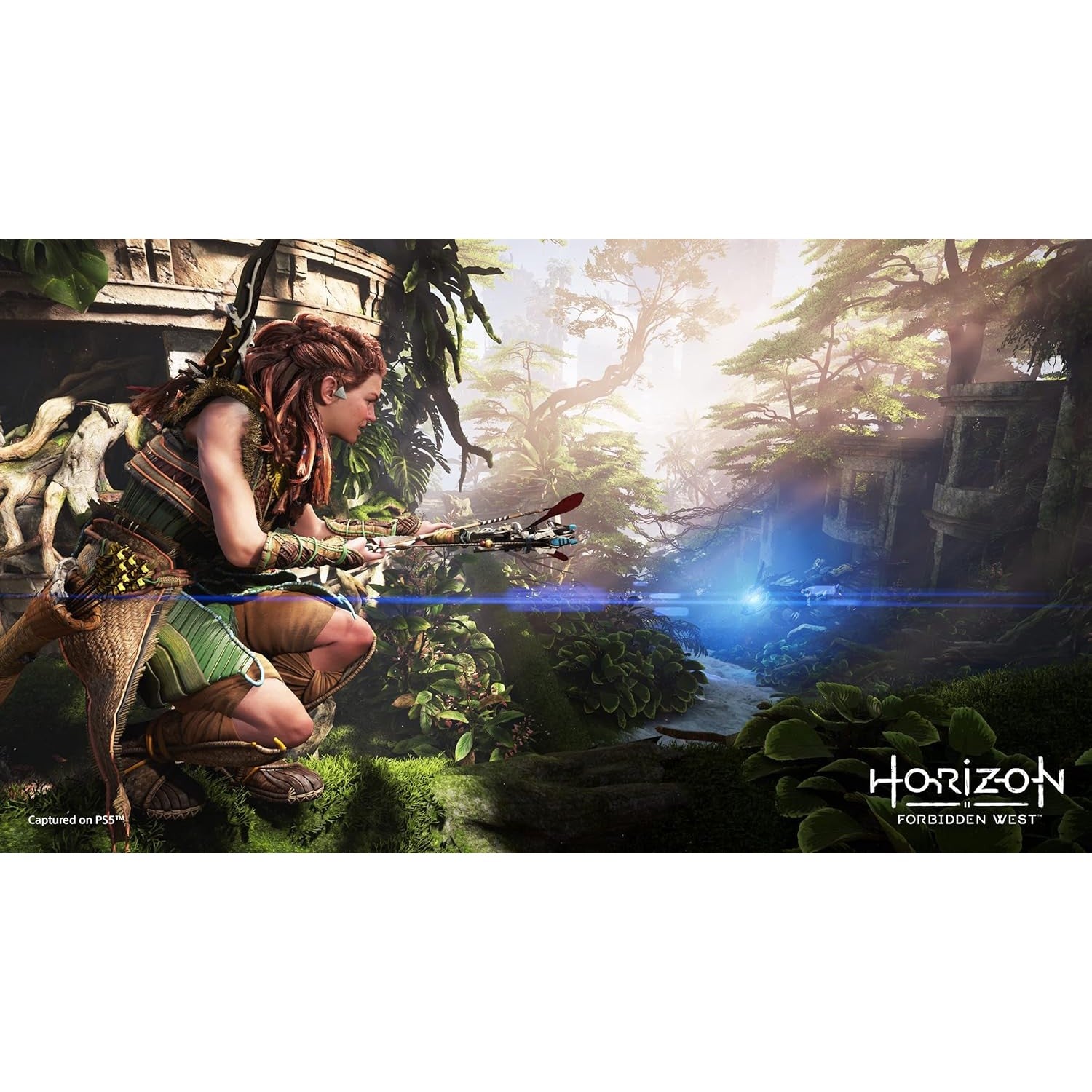 Horizon Forbidden West - Playstation 5 0711719720690