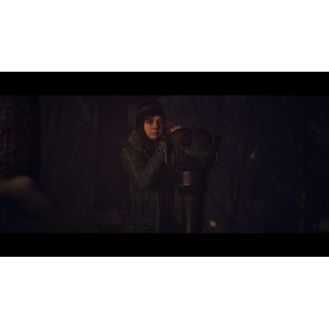 Until Dawn - Playstation 5 0711719589020