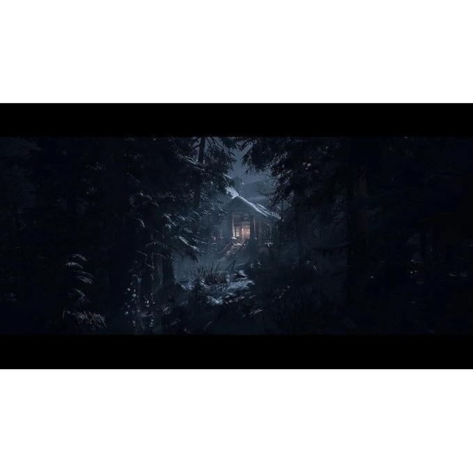 Until Dawn - Playstation 5 0711719589020