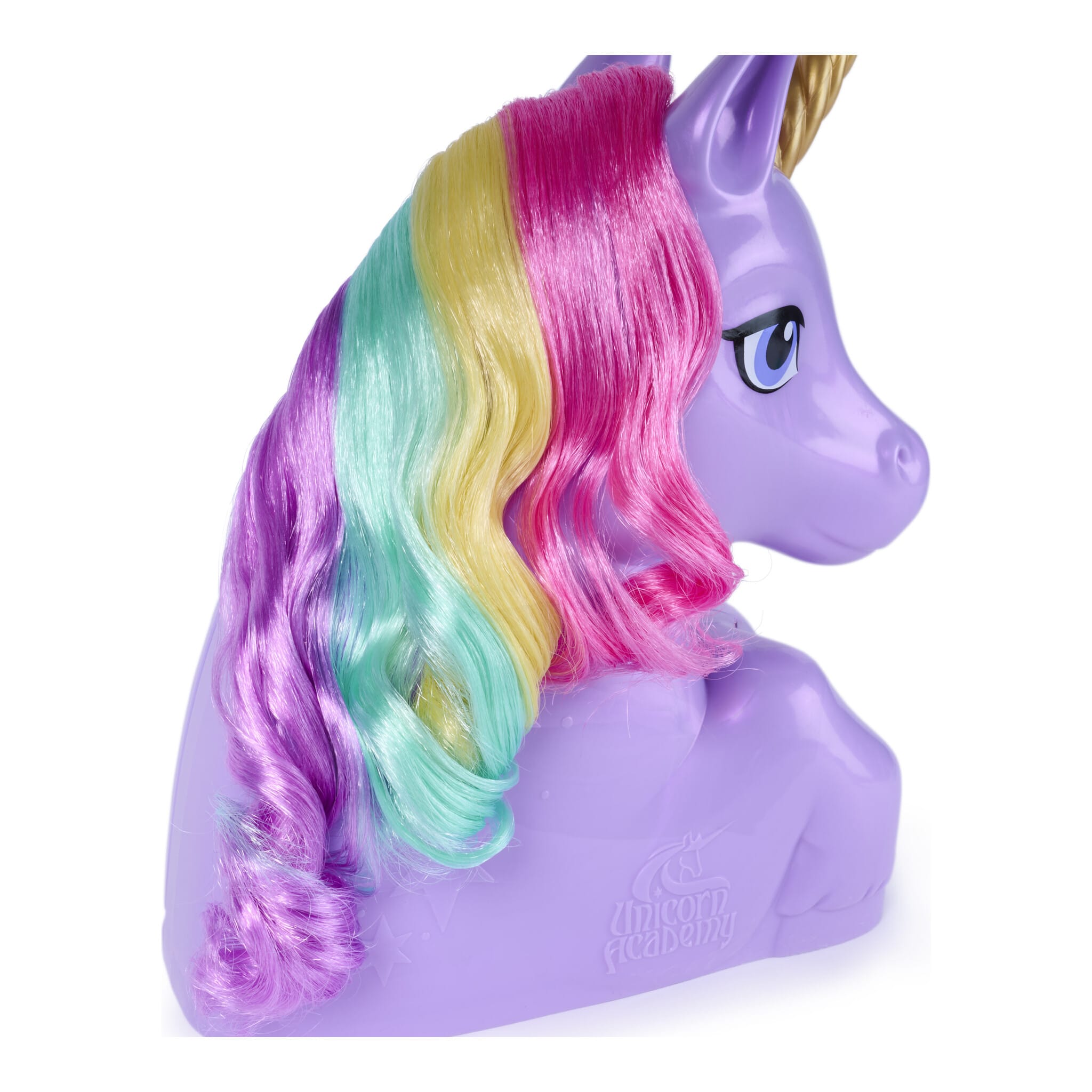Unicorn Academy Wildstar Styling Head and Playset 681147138797