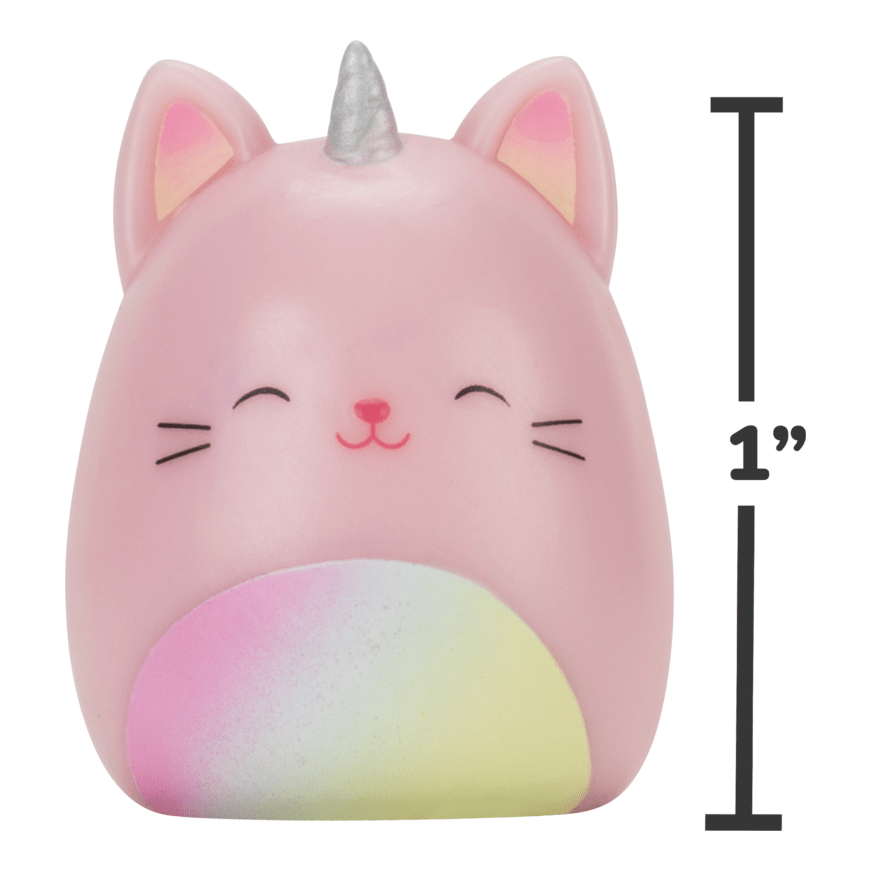 Squish-a-longs by Squishmallows - Series 2 - Mystery (1 Pack Chosen at Random) 1019172676438