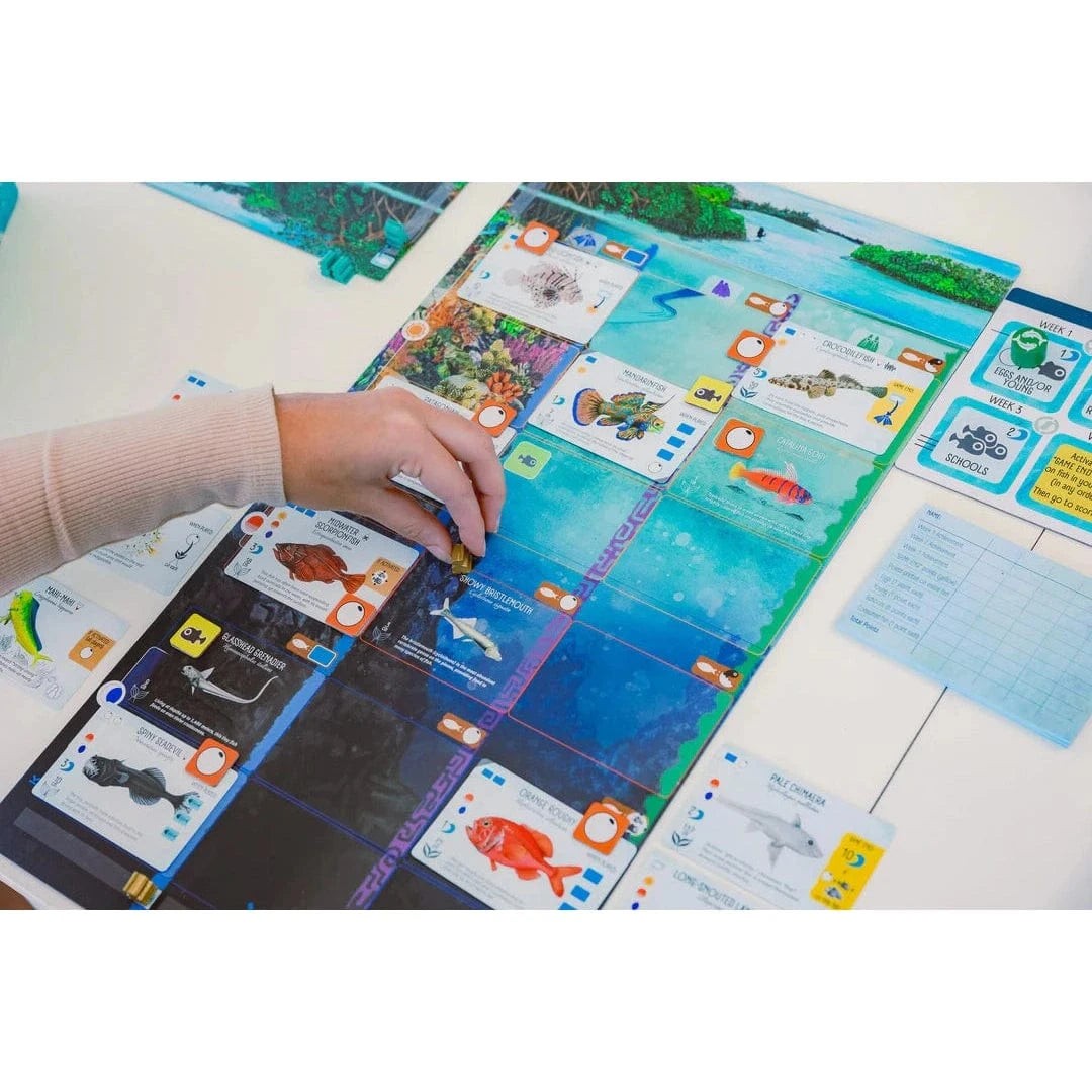 Finspan - Board Game 850032180931