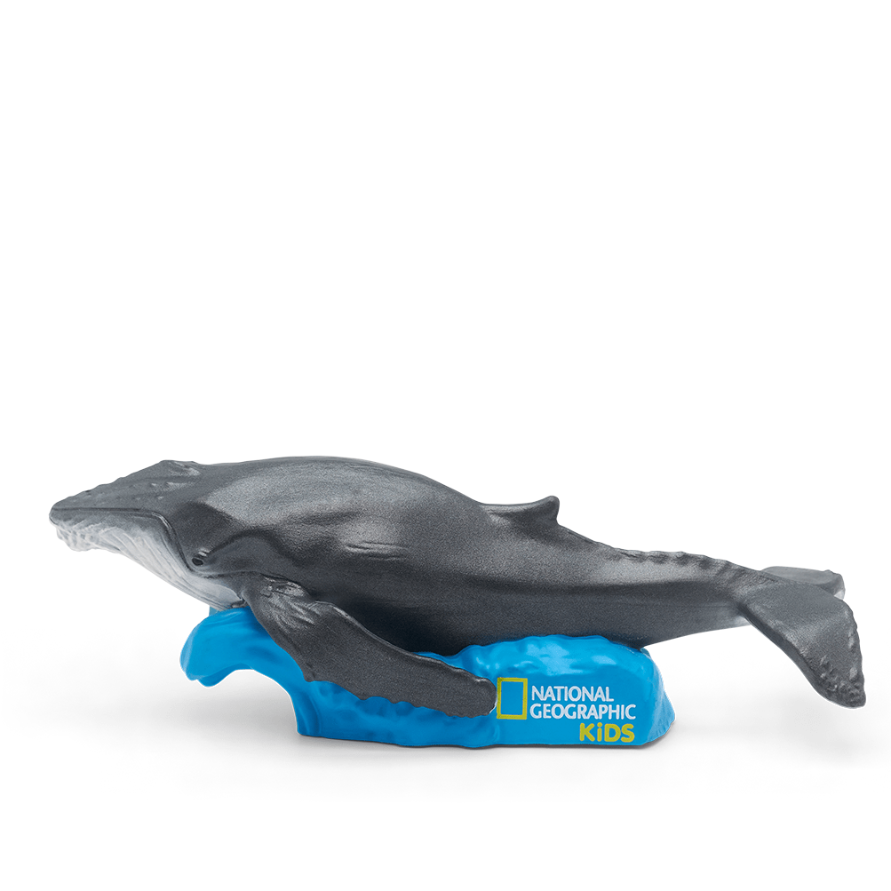 Tonies Figure – Whale – Audio Play 4251192125637