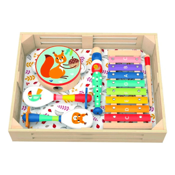 Musical Instrument Set - Forest 6972633375654