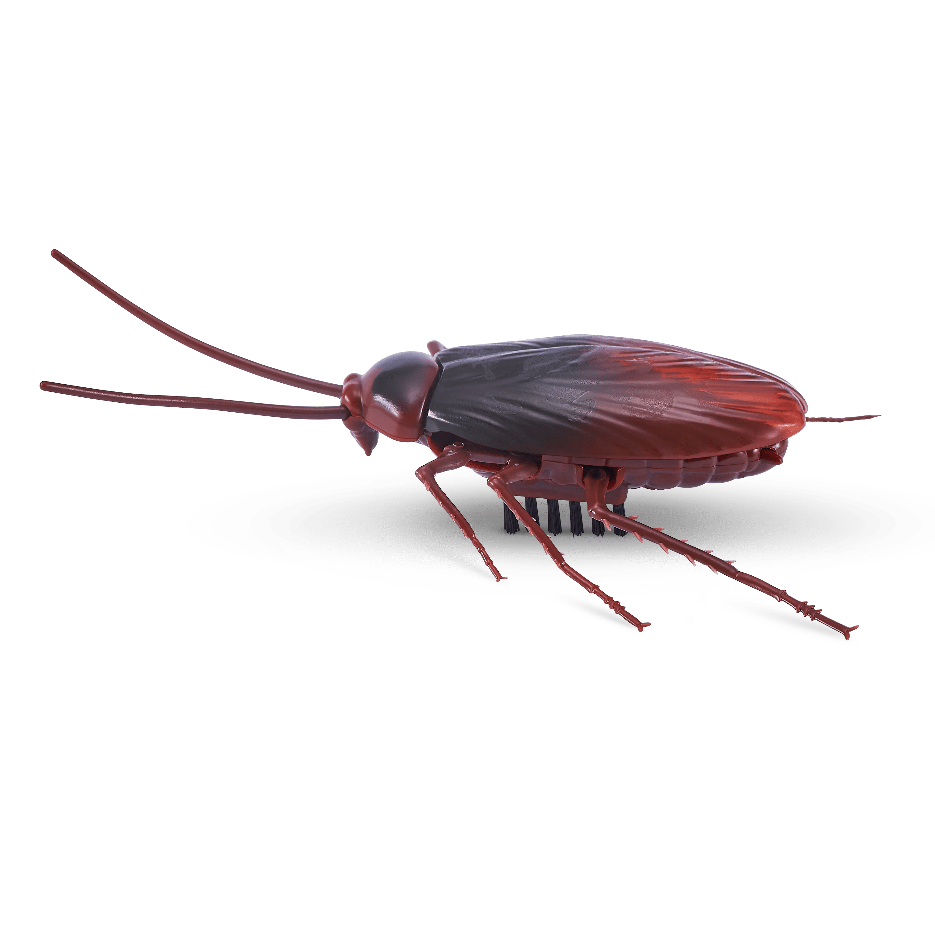 Robo Alive Crawling Cockroach Series 2 193052033413