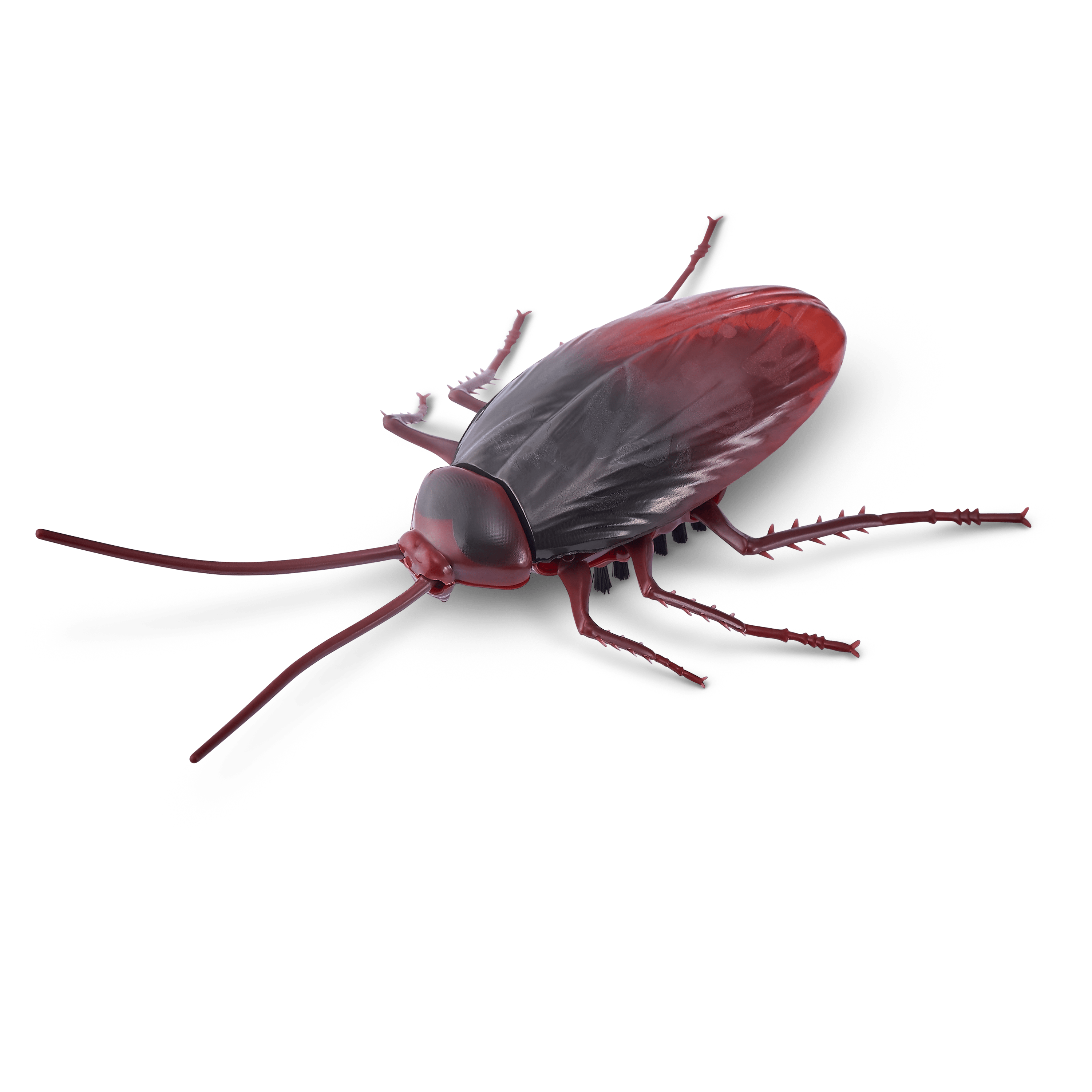 Robo Alive Crawling Cockroach Series 2 193052033413